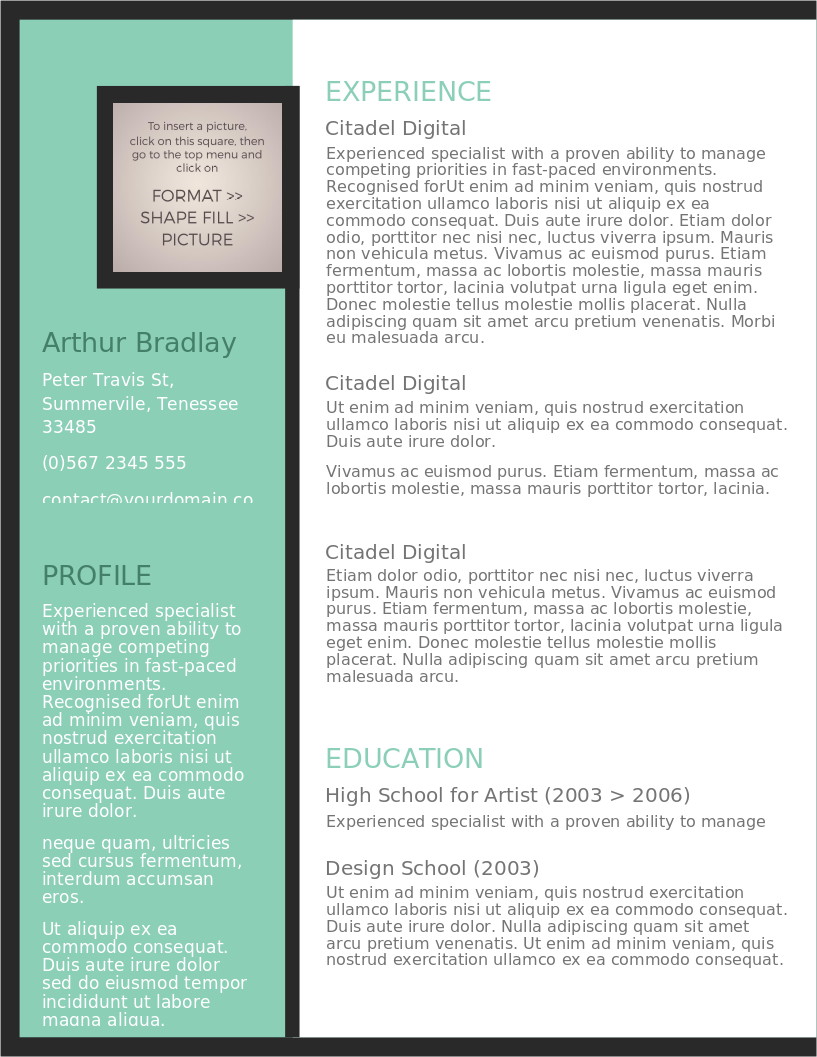 The Artistic Jobseeker CV – anteprima